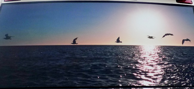 Birds taking bus to Åland_by Rolf van den Brink